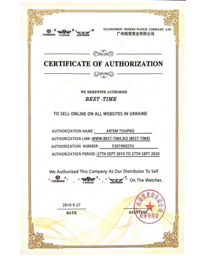Купити Winner Simple з автозаводом II