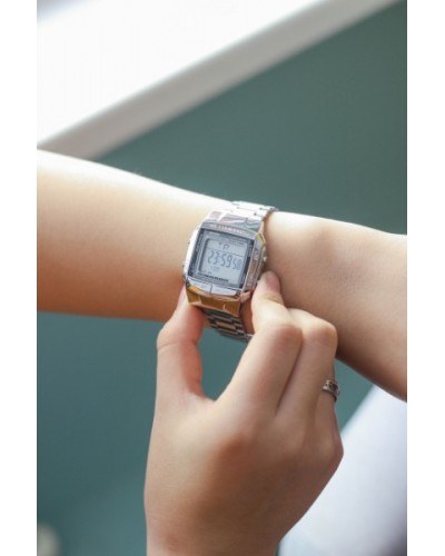 Купити Skmei Popular Silver II 1123S