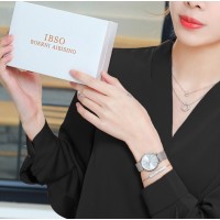 Baosaili BOX IBSO Silver
