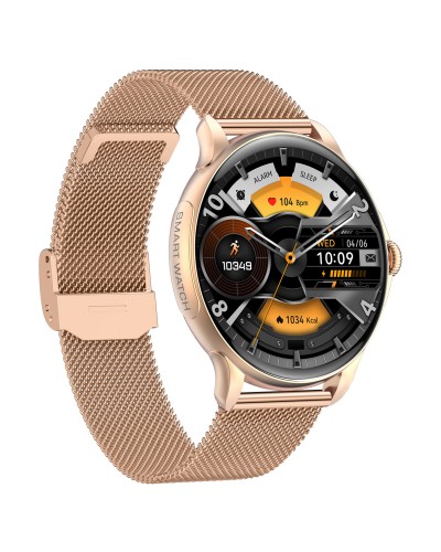 Купити Smart Holiday Gold Steel, 2 ремінці