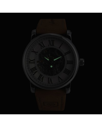 Купити Forsining Vintage Pro