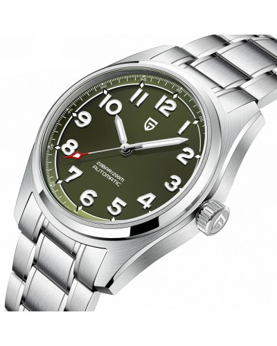 Купити Pagani Design PD-1717 Silver-Green