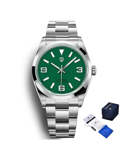 Купити Pagani Design PD-1692 Silver-Green
