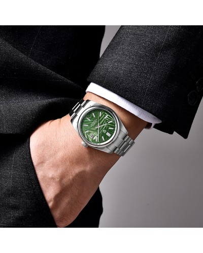 Купити Pagani Design PD-1715 Silver-Green