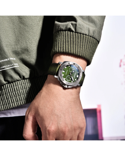 Купити Pagani Design PD-1767 Silver-Green