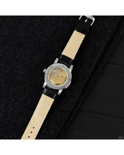 Купить Forsining 8008 Black-Silver-Gold