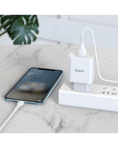 Купити МЗП Hoco C81A Asombroso 2.1A (1USB-A) + кабель USB to Type-C