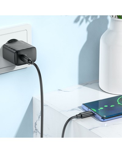 Купити МЗП Hoco CS22A Value PD30W (1USB-C) + кабель Type-C to Type-C
