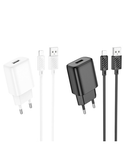 Купити МЗП Hoco C134A Solid 12W (1USB-A) + кабель USB to Lightning