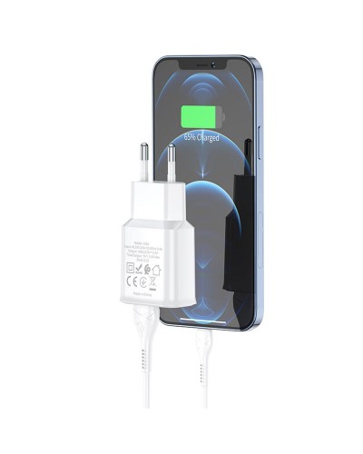 Купити МЗП Hoco C88A Star round 2.4A (2USB-A) + кабель USB to Lightning