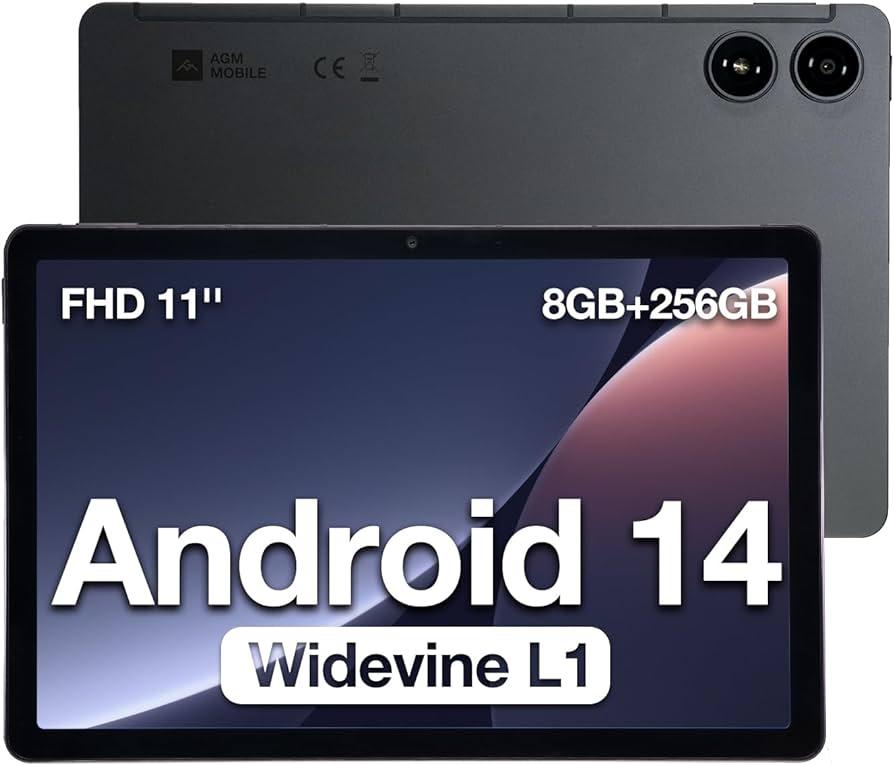 Купити Планшет AGM PAD P2 8/256GB Global LTE Black