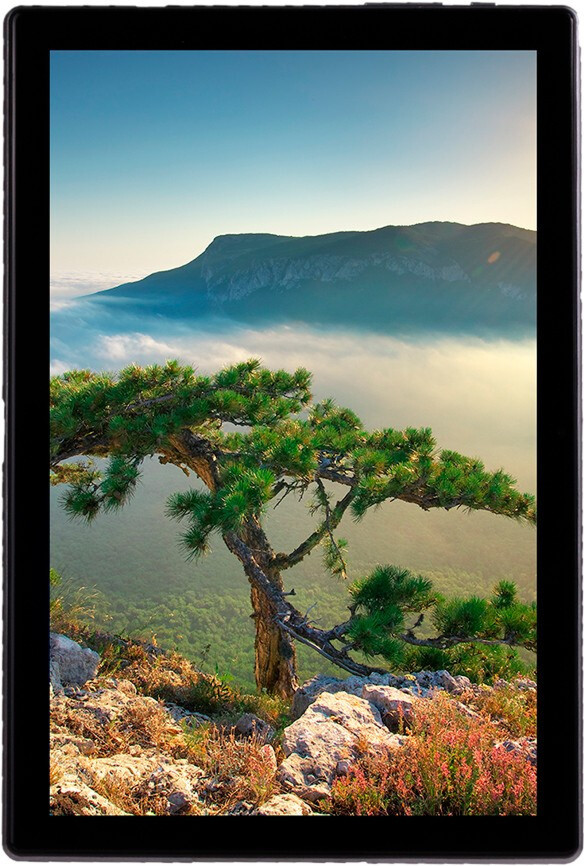 Купити Планшет Sigma mobile Tab A1010 4/64GB Grey 10.1"
