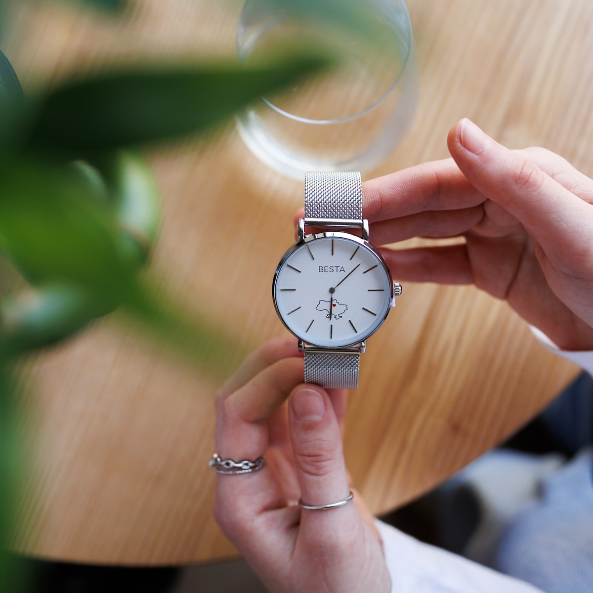 Купити Besta Love UA Silver